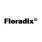 Floradix 铁元